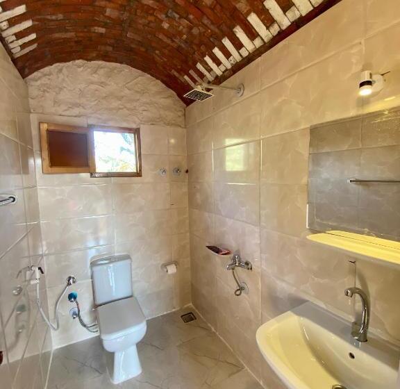 هتل Siwa Palace Lodge