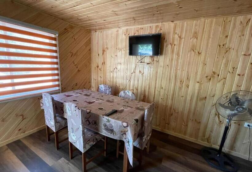 بنسيون Altos De Borde Río