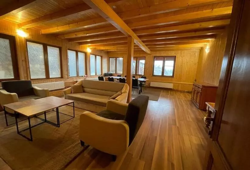 ペンション Vila Piramida