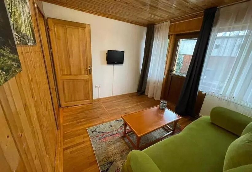 ペンション Vila Piramida