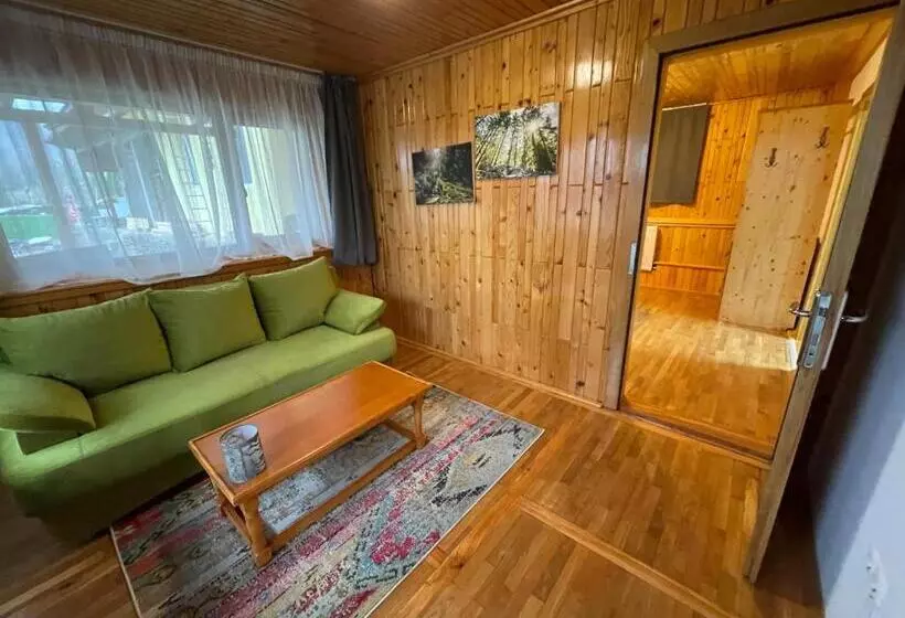 ペンション Vila Piramida