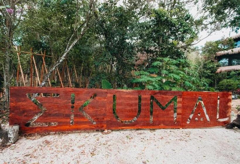 Quantum Mayan Skyloft