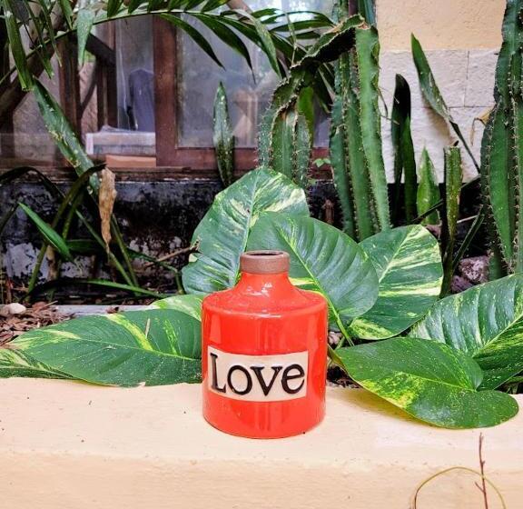 Quantum Mayan Skyloft