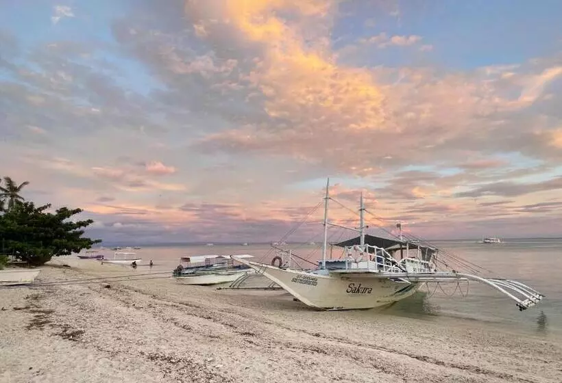 ユースホステル Tribal Huts Community