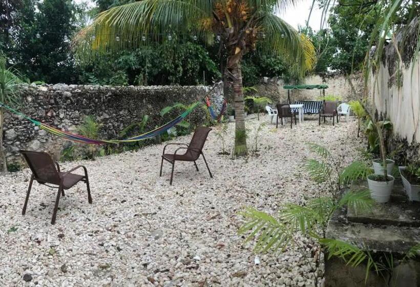 هتل Enso In Downtown