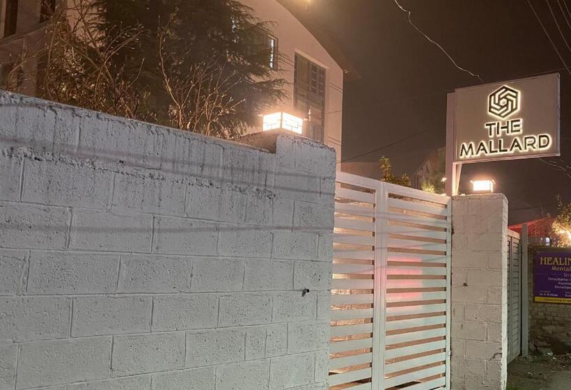 هتل The Mallard, Srinagar