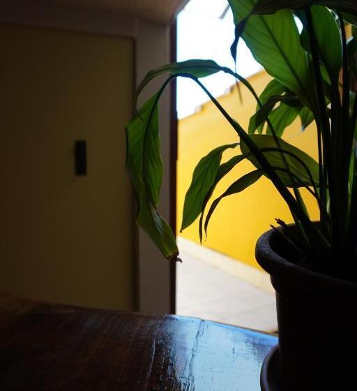 پانسیون L  Asfodelo