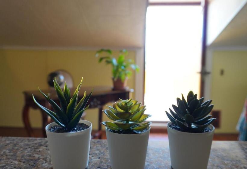 پانسیون L  Asfodelo