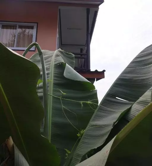 ペンション Say Lom Guesthouse