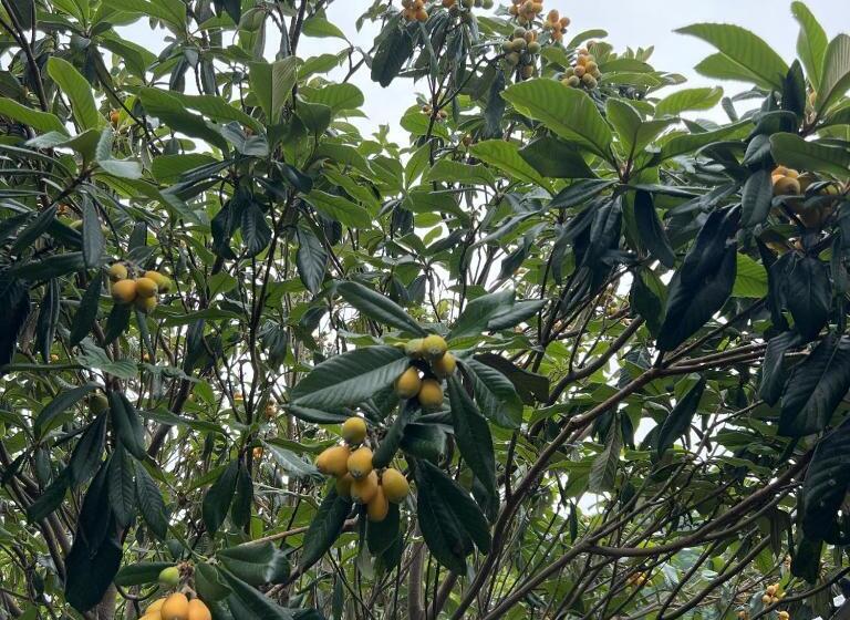 Pensionat 長徳寺宿坊 temple