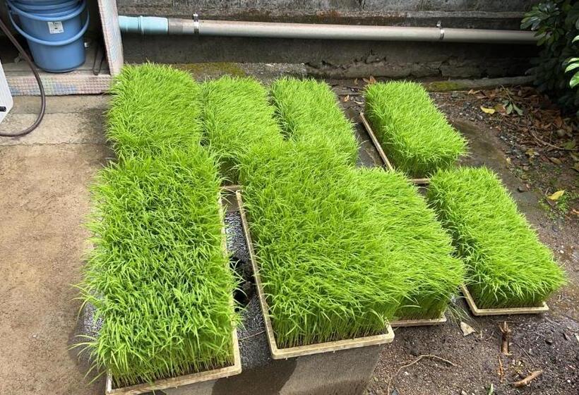 Pensionat 長徳寺宿坊 temple