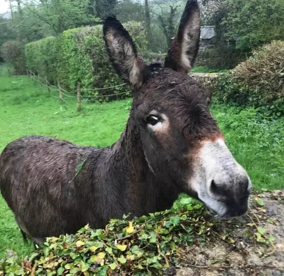 ペンション The Old Post Office Studio Apartment In A Beautiful Cotswold Village