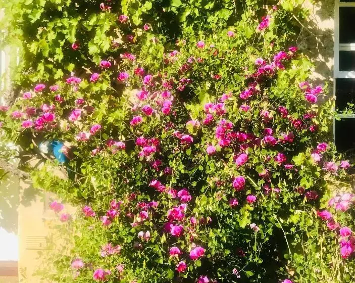 ペンション The Old Post Office Studio Apartment In A Beautiful Cotswold Village