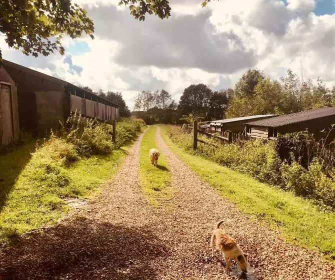 ペンション The Old Post Office Studio Apartment In A Beautiful Cotswold Village