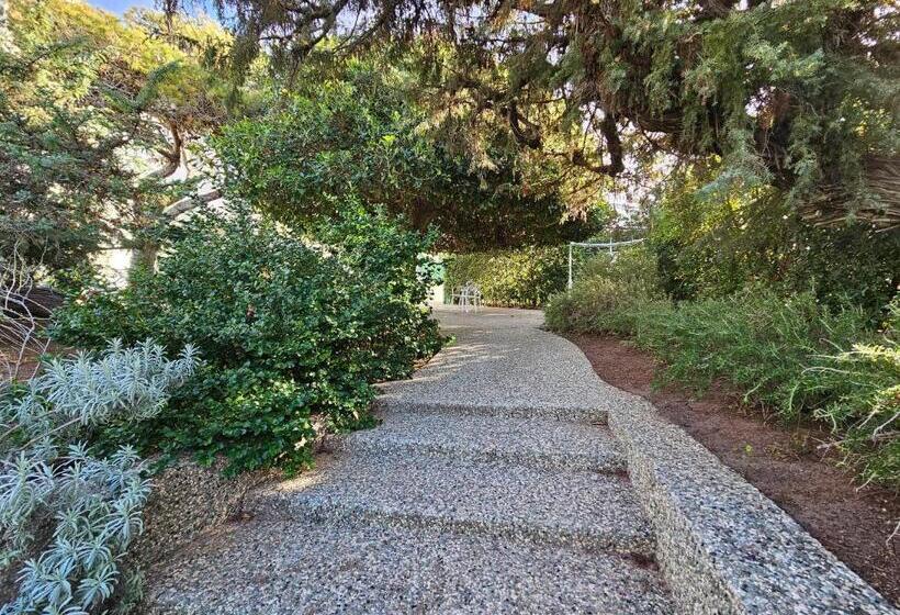 بنسيون Villa Dune Luxury Roof Top Pool Wellness