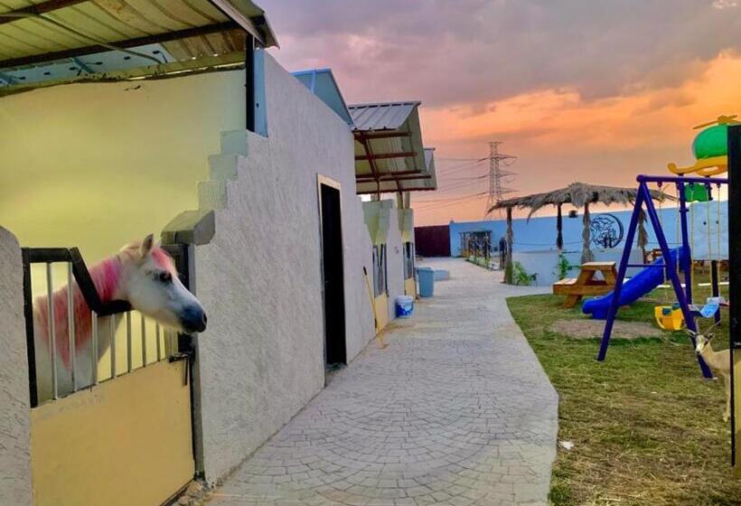 Resort مربط الجازي