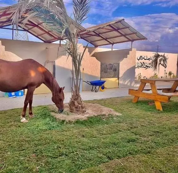 リゾートホテル مربط الجازي