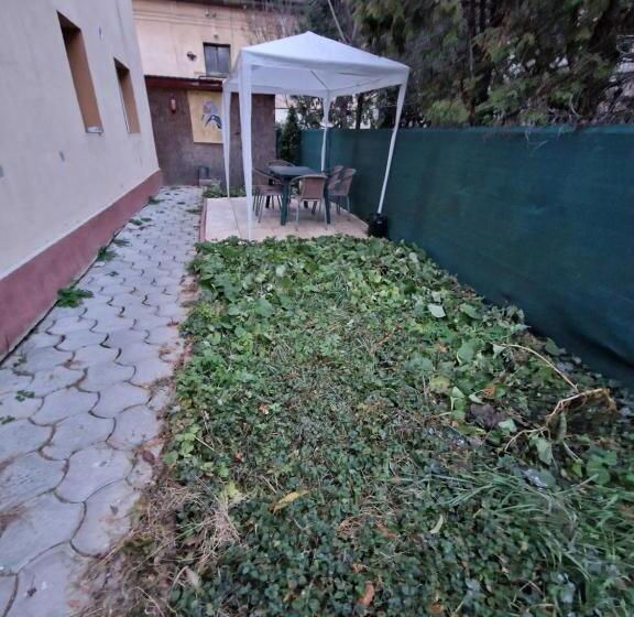 Herberge Casa Thomas Cluj