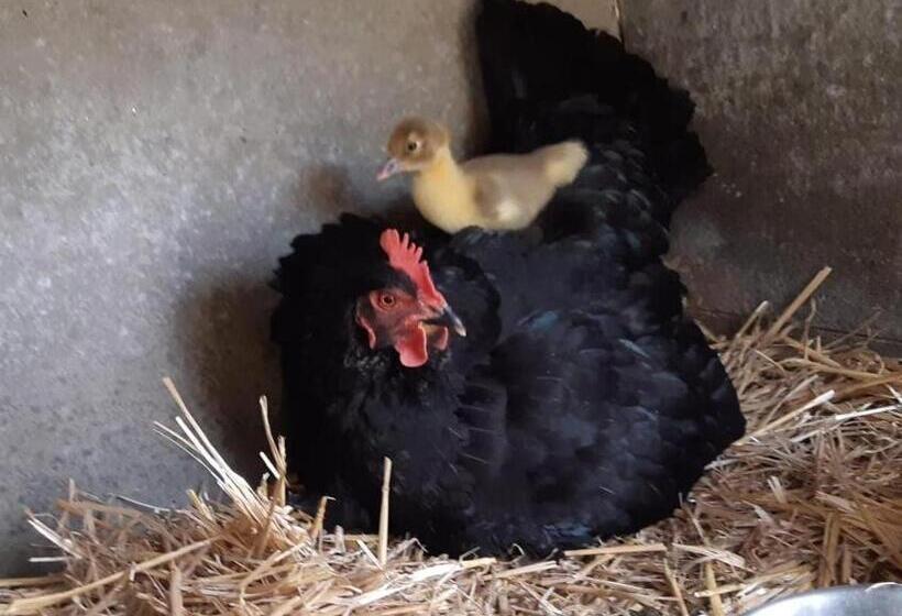 مبيت وإفطار Mon Repos Chez Sylvie