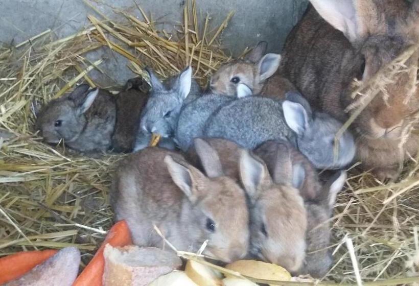 مبيت وإفطار Mon Repos Chez Sylvie