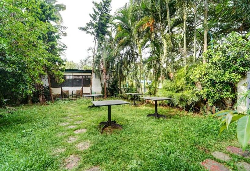 Hotel Oyo Flagship Classique Inn Residency