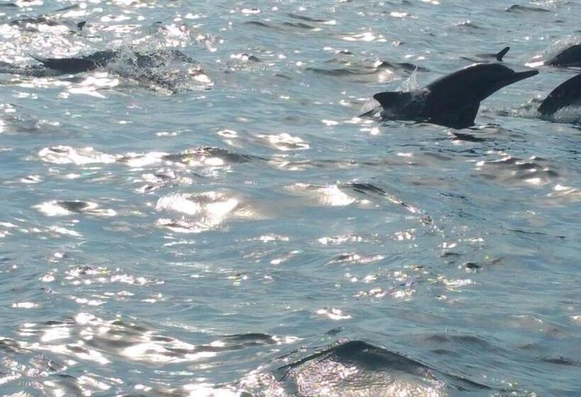 בית מלון כפרי Pearl Star Beach Resort