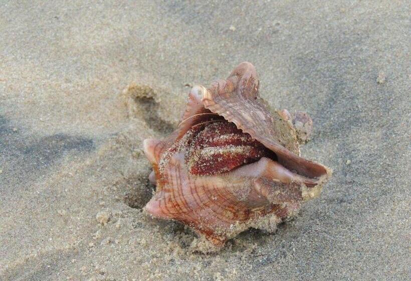 בית מלון כפרי Pearl Star Beach Resort