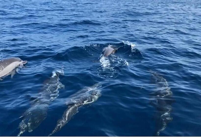 בית מלון כפרי Pearl Star Beach Resort