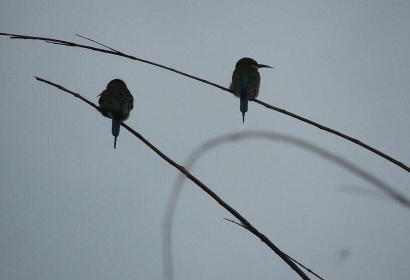 בית מלון כפרי Pearl Star Beach Resort