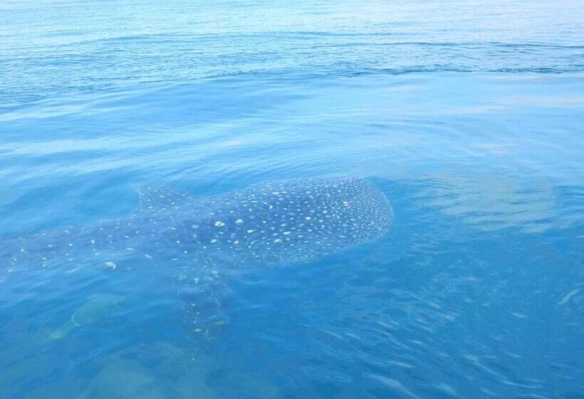 בית מלון כפרי Pearl Star Beach Resort