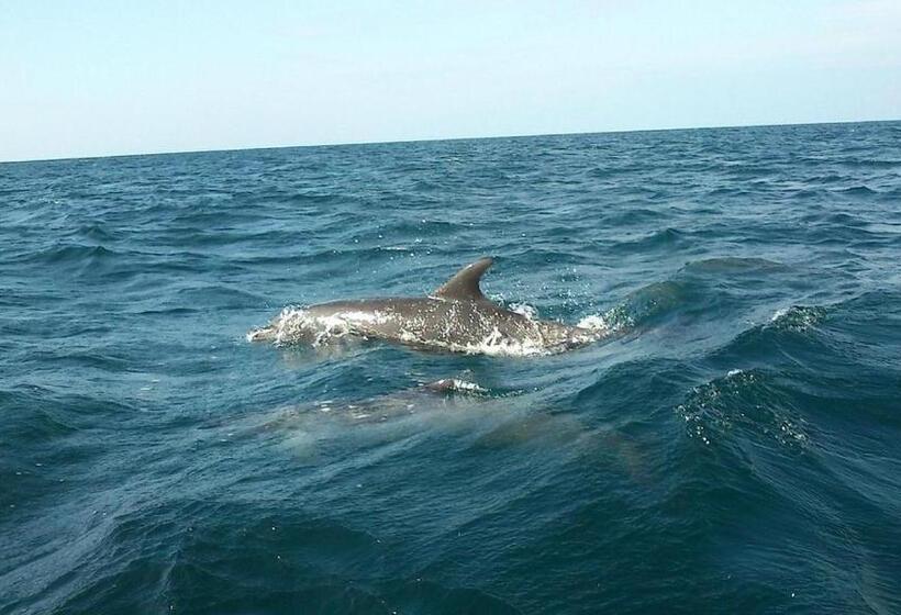 בית מלון כפרי Pearl Star Beach Resort