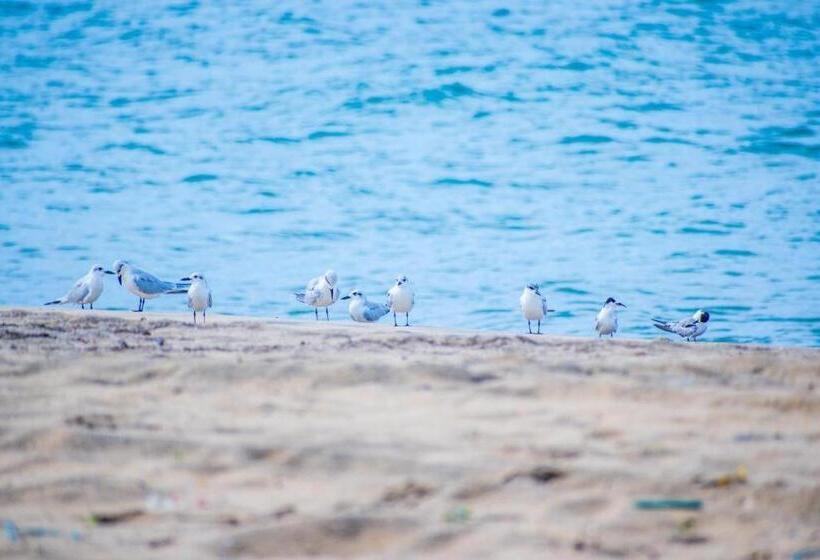 בית מלון כפרי Pearl Star Beach Resort