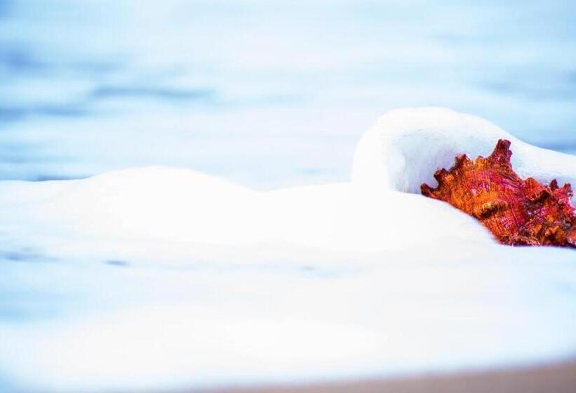 בית מלון כפרי Pearl Star Beach Resort