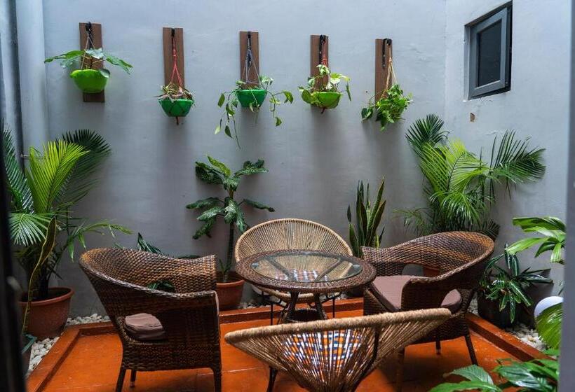 پانسیون Luxury 4 Bedrooms Terrace Duplex