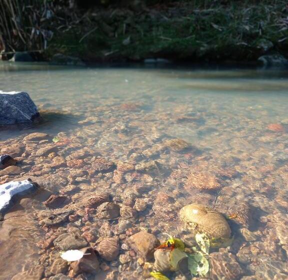 Pensjonat Pousada Imcasa 430