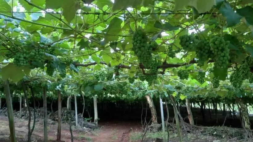 Majatalo Pousada Imcasa 430