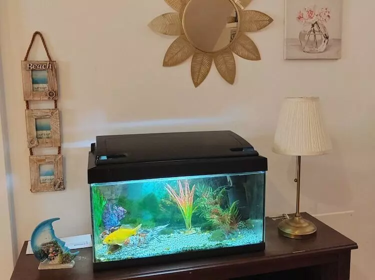 Aamiaismajoitus (B&B) Las Salinas House Private Rooms