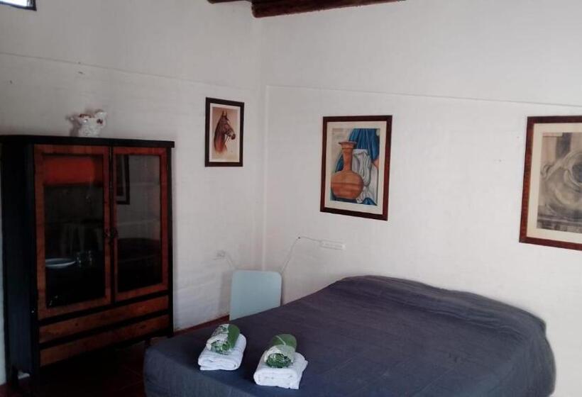 Bed & Breakfast Chacras Room 333