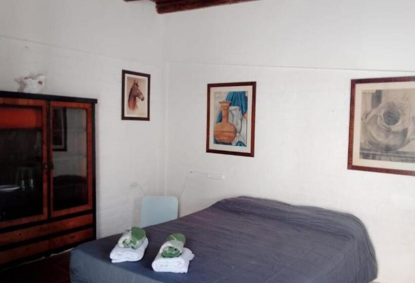 Bed & Breakfast Chacras Room 333
