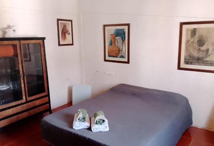 Bed & Breakfast Chacras Room 333