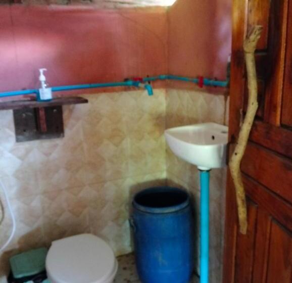 Bed and Breakfast Fat Rabbit Beach Resort