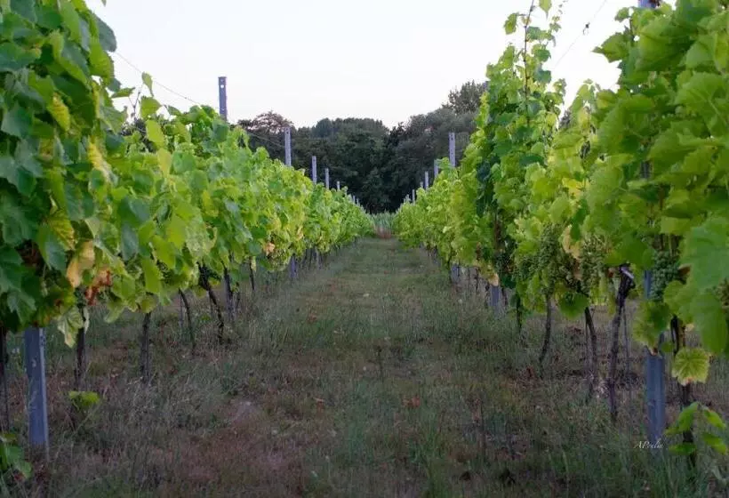 Aamiaismajoitus (B&B) Le Val Du Vieux Chêne Chambre D Hôtes