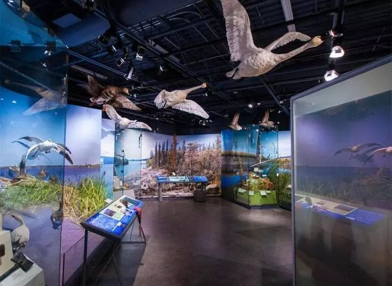 Aamiaismajoitus (B&B) Le Val Du Vieux Chêne Chambre D Hôtes