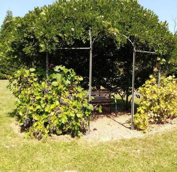 酒店 Gîte La Sarrée