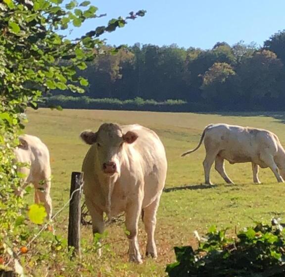 酒店 Gîte La Sarrée