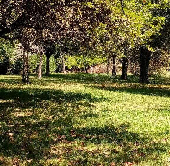 酒店 Gîte La Sarrée