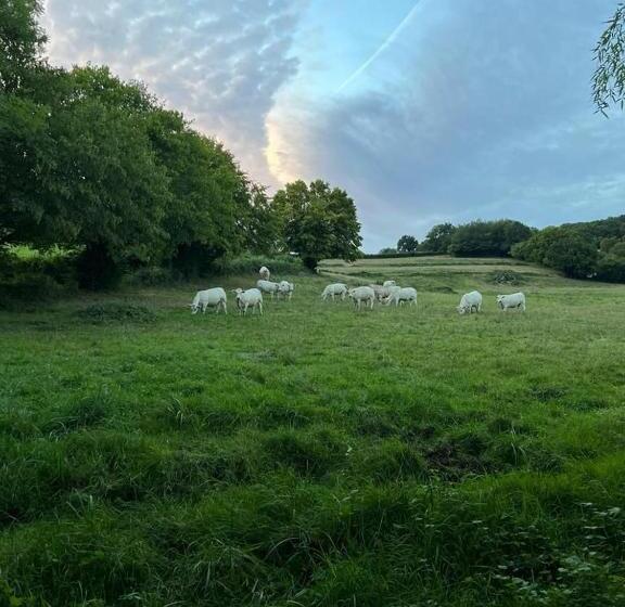 酒店 Gîte La Sarrée