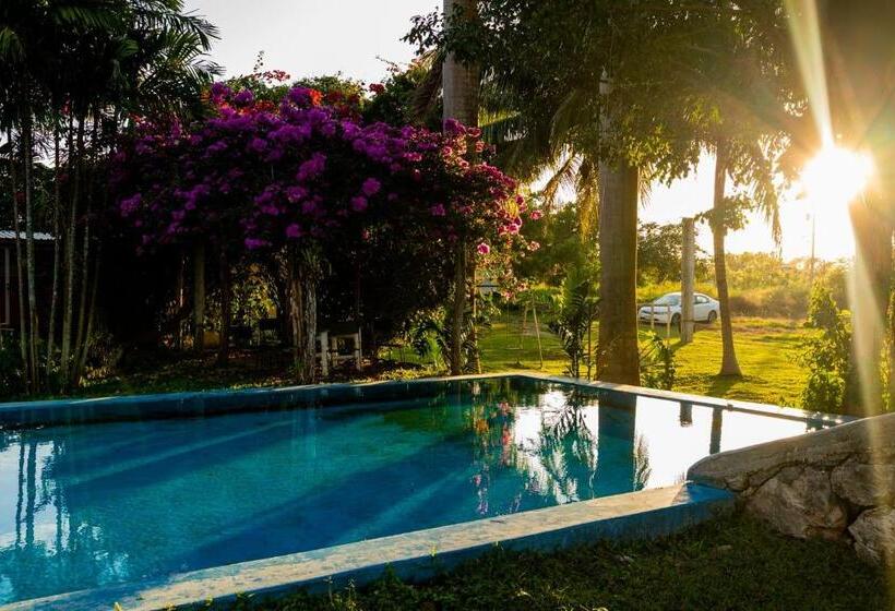 Otel Posada Barahona