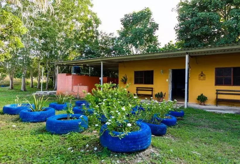 ホテル Posada Barahona