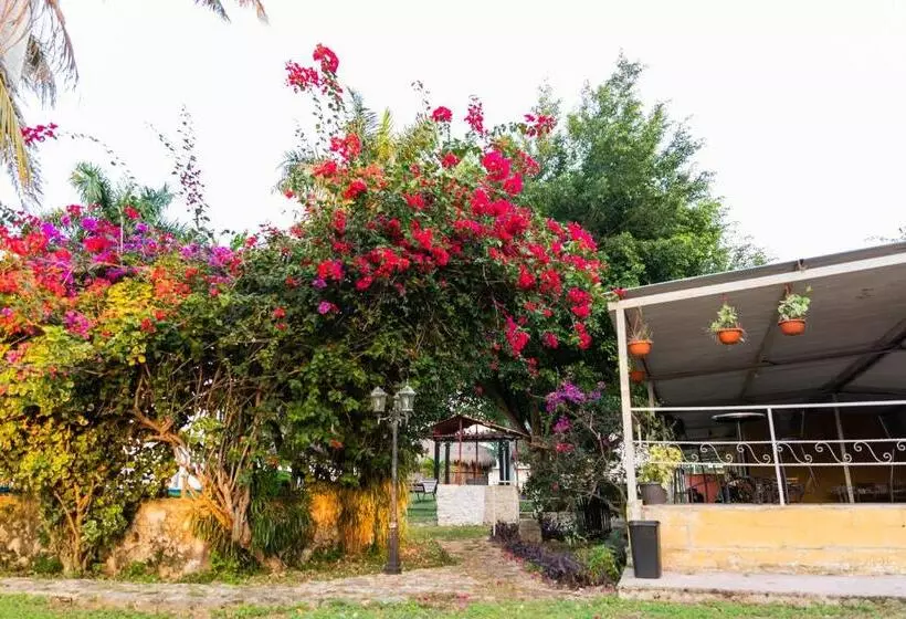 ホテル Posada Barahona